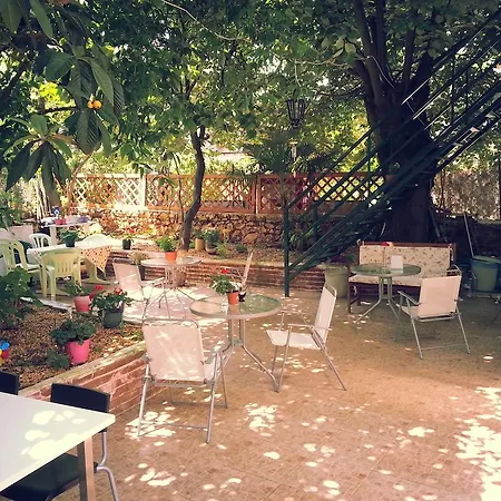 More Guest house